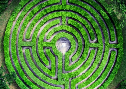 a bright green labyrinth in nature to represent dharma and meaning in everyday life